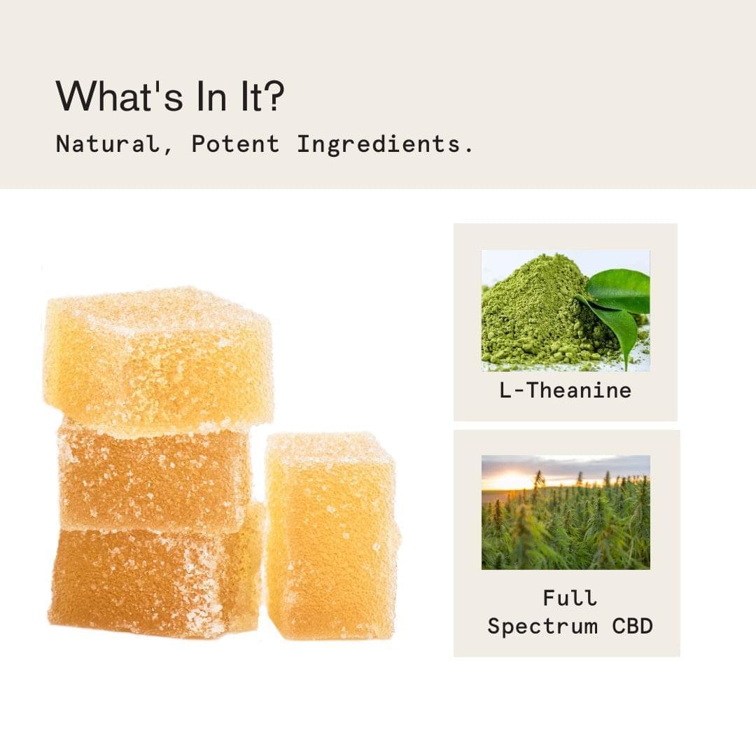 House of Wise CBD Stress Gummies (10ct.) Best Sales Price - Gummies