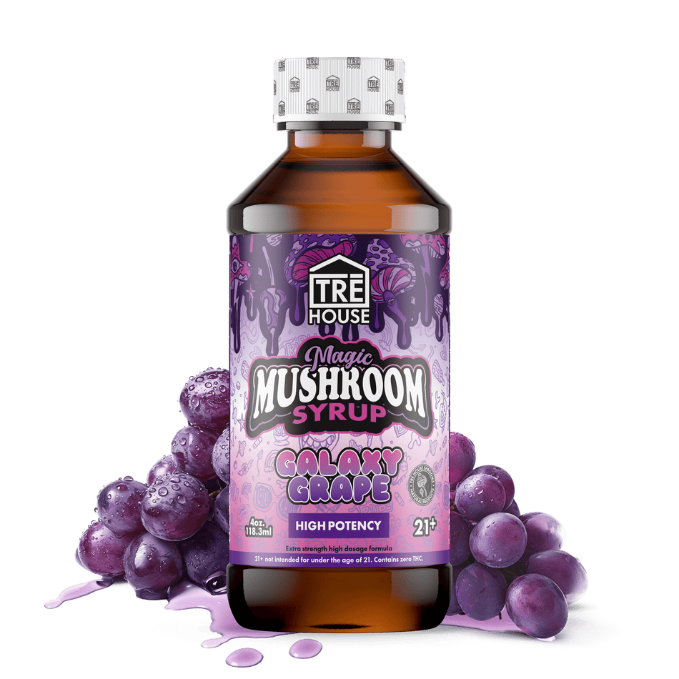 Mushroom Syrup – Trehouse Best Sales Price - Edibles