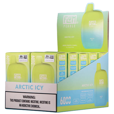 Arctic Icy Flum Pebble 6000 Puffs Rechargeable Disposable Vape 14ML Best Sales Price - Disposables
