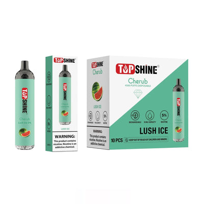 Cool Mint Top Shine Cherub Disposable Vape 4500 Puffs Best Sales Price - Disposables