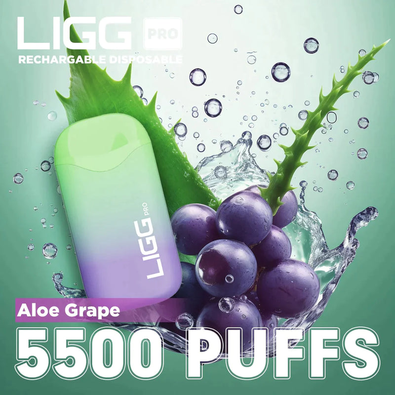 Ligg Pro 5500 Puffs Disposable Vape - Aloe Grape Best Sales Price - Disposables