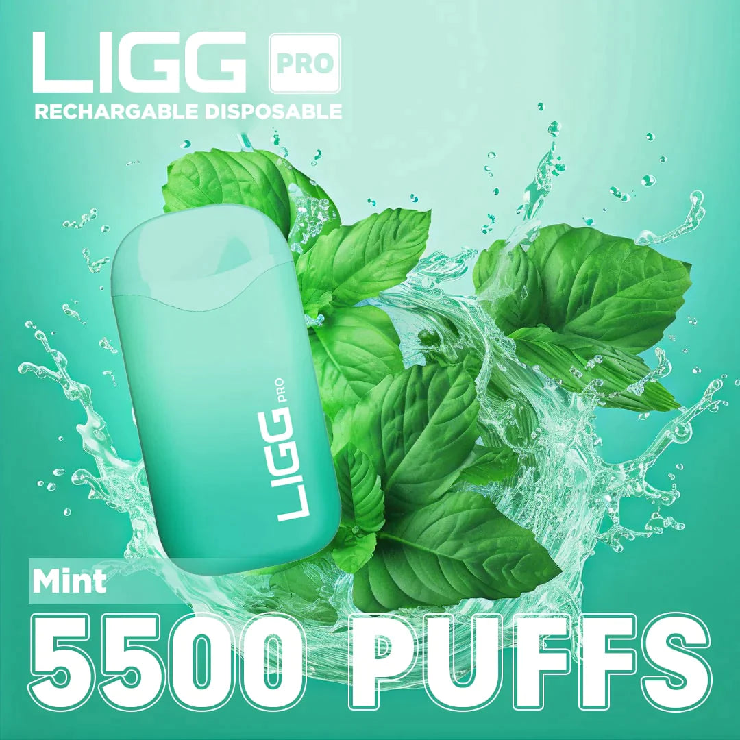 Ligg Pro 5500 Puffs Disposable Vape - Mint Best Sales Price - Disposables