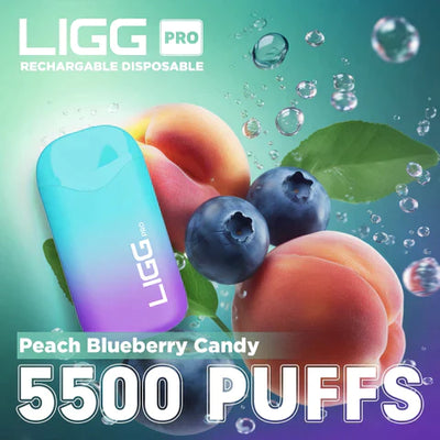 Ligg Pro 5500 Puffs Disposable Vape - Peach Blueberry Gumi Best Sales Price - Disposables