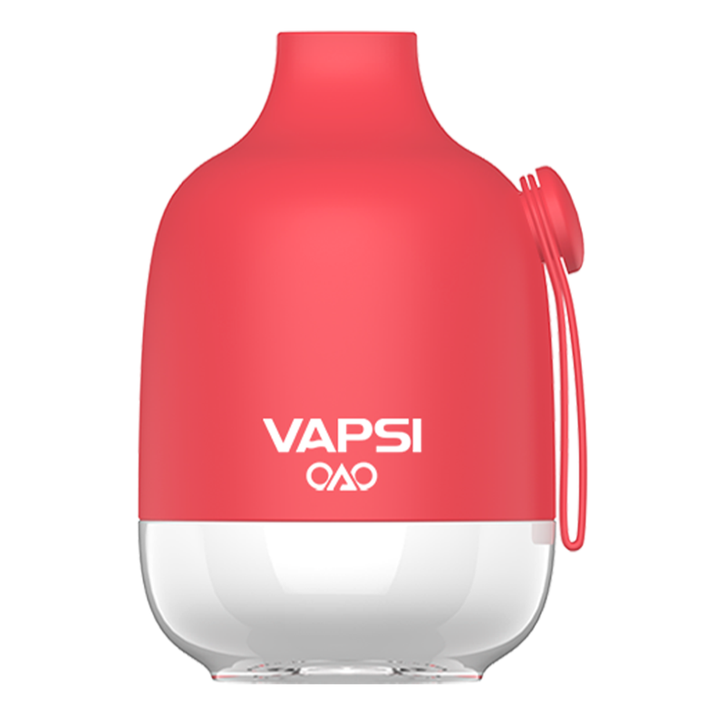 Vapsi OAO Disposable 6000 Puffs 12mL Best Sales Price - Disposables