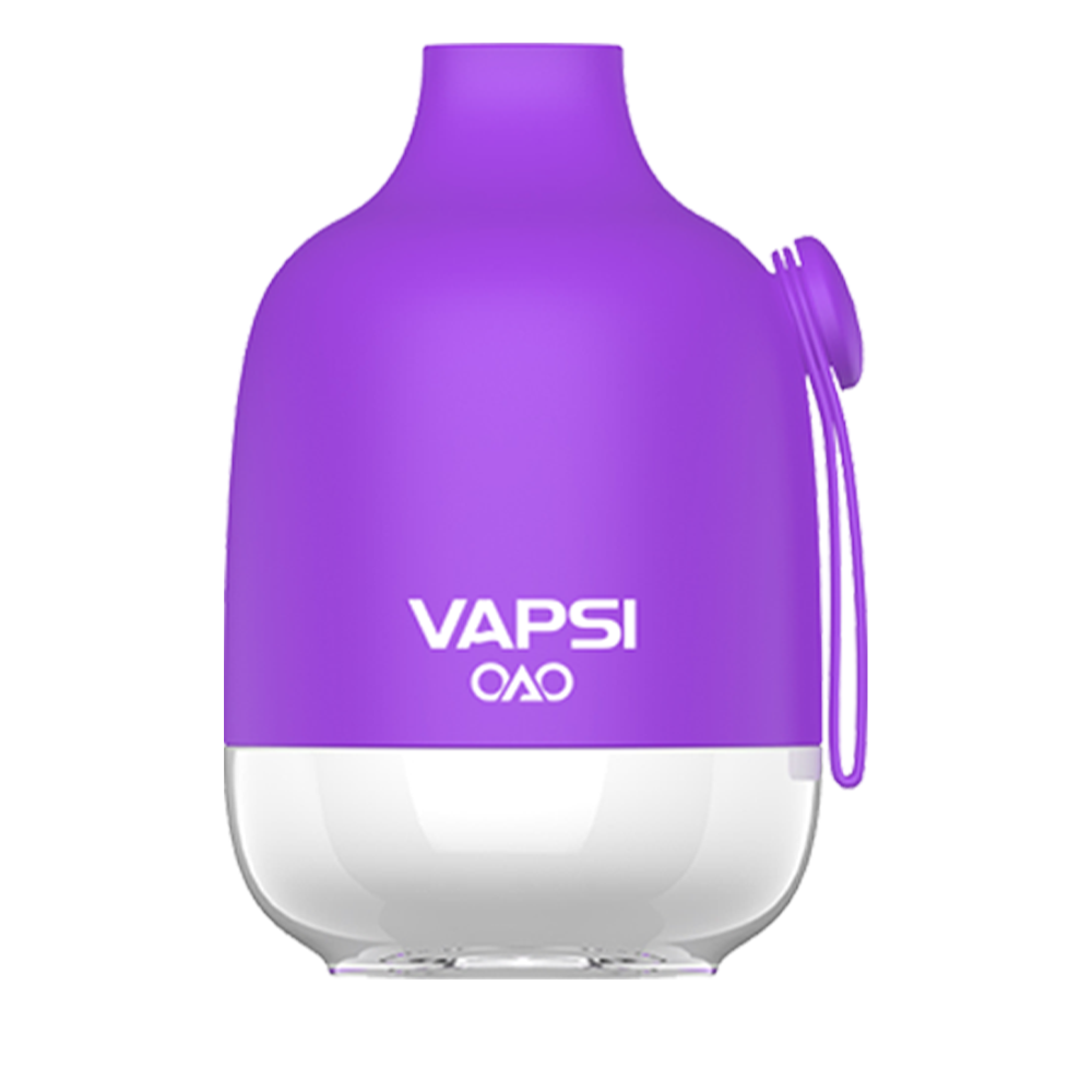 Vapsi OAO Disposable 6000 Puffs 12mL Best Sales Price - Disposables