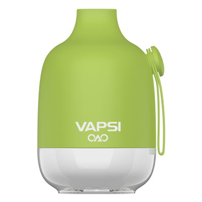 Vapsi OAO Disposable 6000 Puffs 12mL Best Sales Price - Disposables